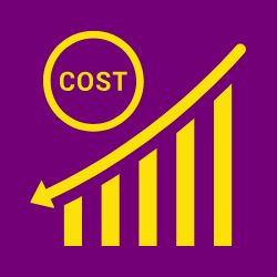 Wordpress is Cost Effective