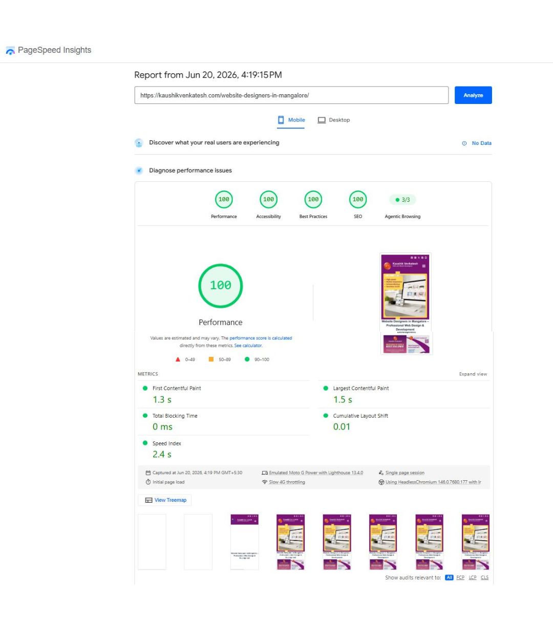 Pagespeed Insights Score showing 100/100