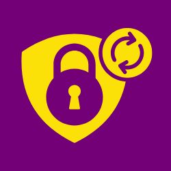 Wordpress is Secure and Regularly Updated