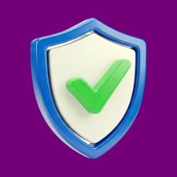 Security Certificates and Compliance | Every corporate site needs an SSL certificate (HTTPS) to encrypt data transmission and signal trustworthiness 