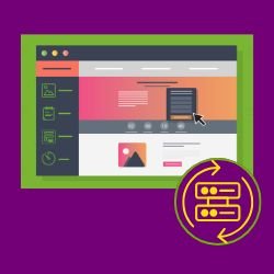 Website Backups