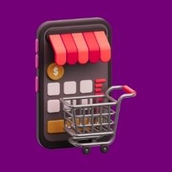 Marketplace or Platform Website