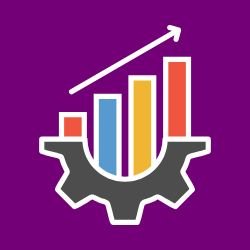Optimization Strategy
