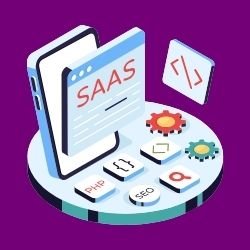 SaaS Website