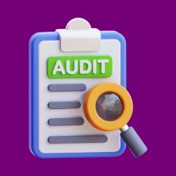 Social Presence Audit